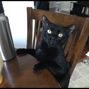 Meet your Posher, Bryan